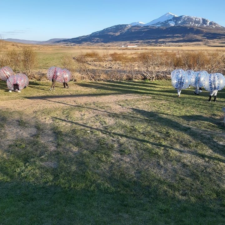 100531172_347864206175456_9196884054417342464_n