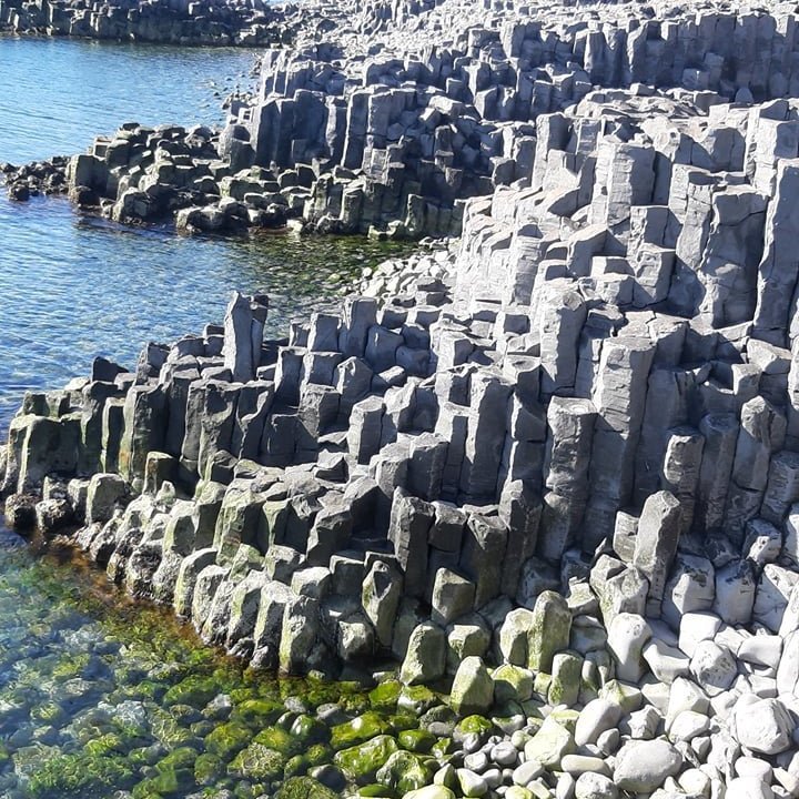 100558403_257301858662247_7131956914866356224_n