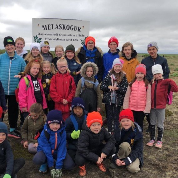 60670828_437957650313588_101423208858648576_n