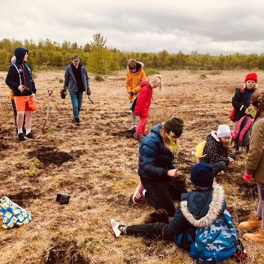 60805339_1956310997807406_2720321049928400896_n