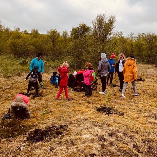 61114533_806495156393283_6077884215720935424_n