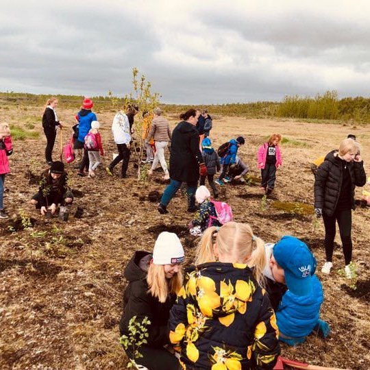 61131434_2290692017714171_7741274867063848960_n