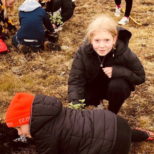 61149493_651229245301917_7201306261441216512_n