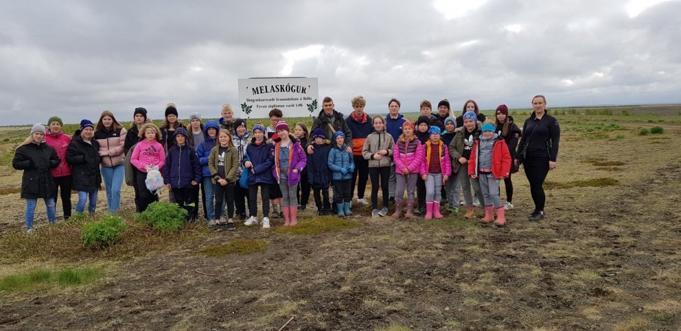 Gróðursetning og grillveisla