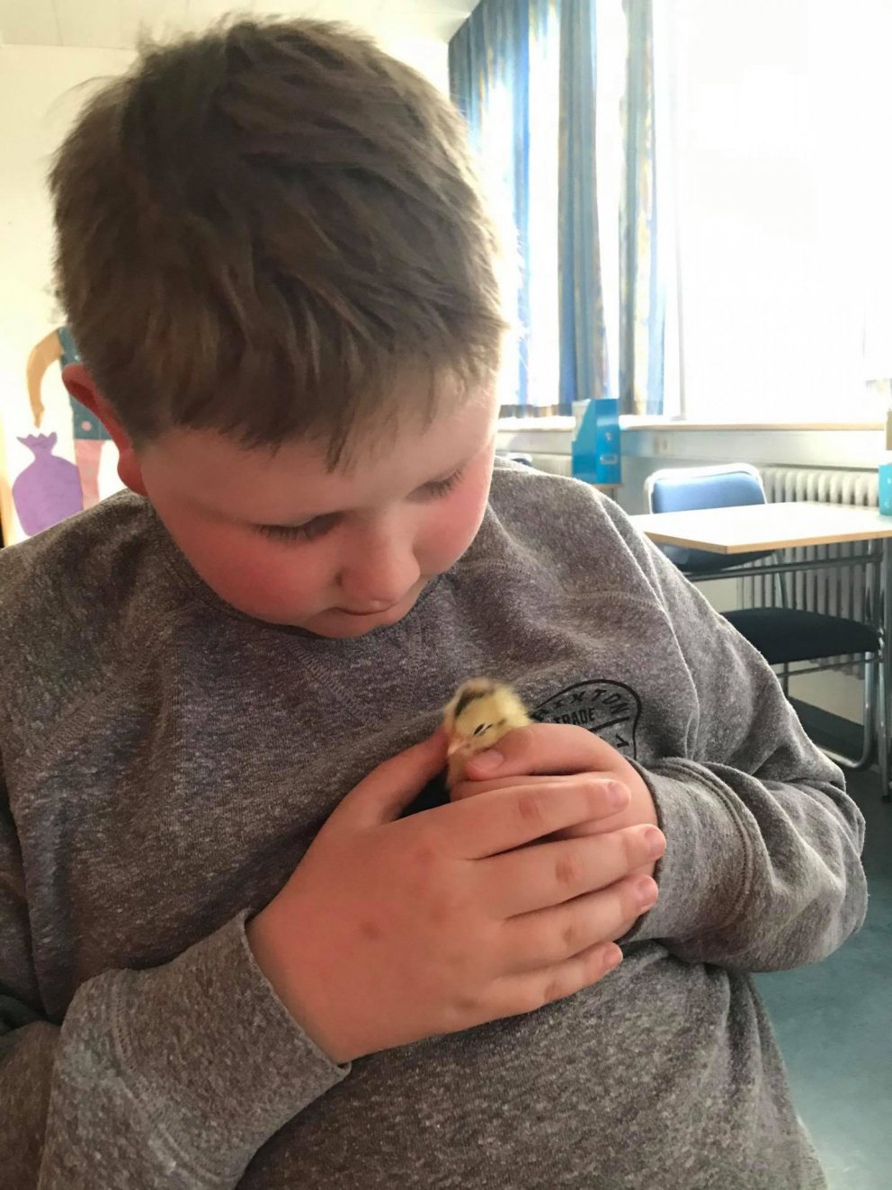 Fyrsti unginn skreið úr egginu í dag. Hann var 33 grömm og fekk nafnið Kókó.