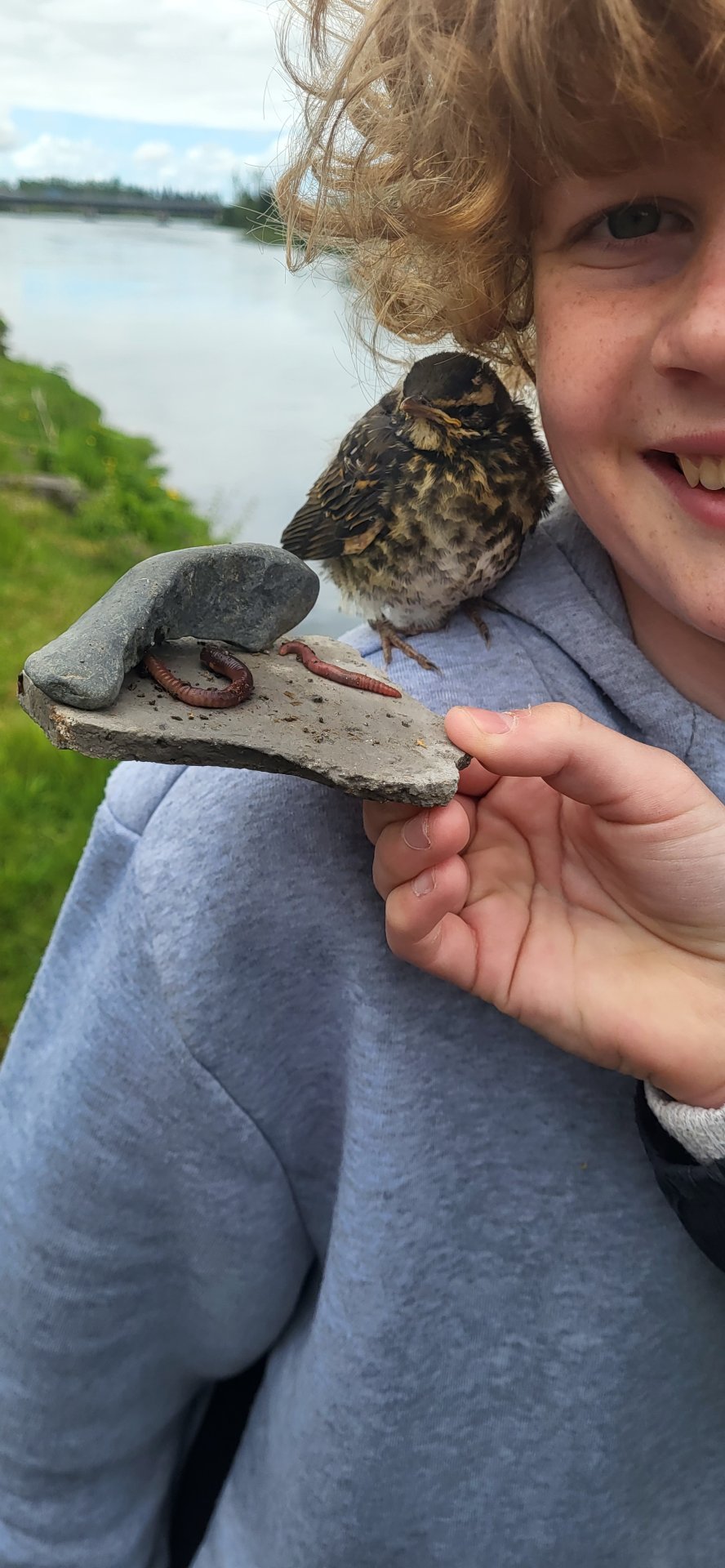 Ruslatínsla og pyslupartý