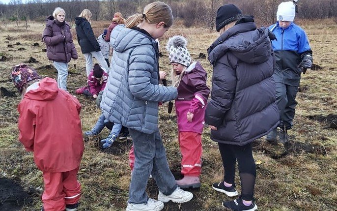 Gróðursetning 21. okt. 2021