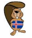 Frábær þátttaka í Bebras áskoruninni 2025! Nemendur glíma við tölvunarhugsun