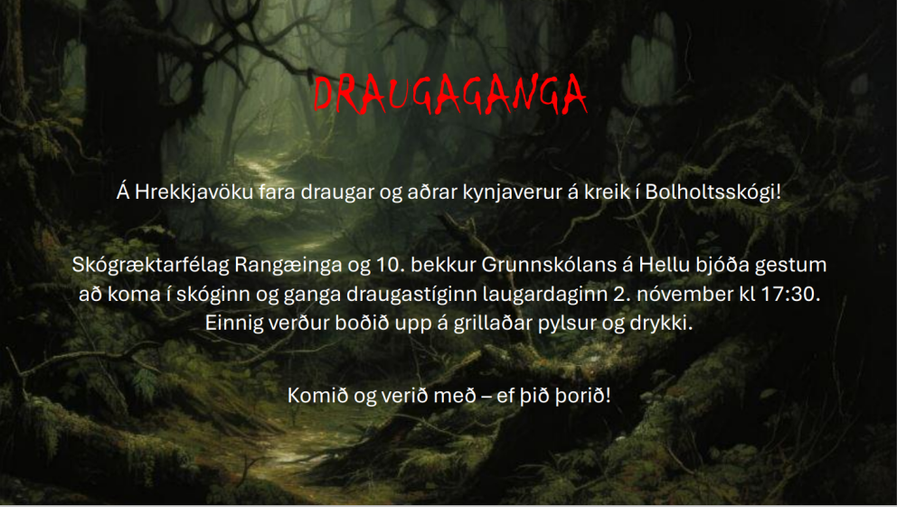 Draugaganga í Bolholtsskógi