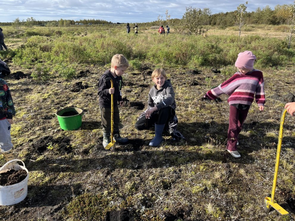 Trjáplöntun í Melaskógi