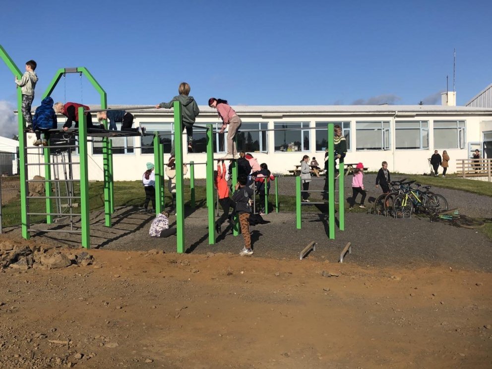 Fyrsta vikan í skólanum