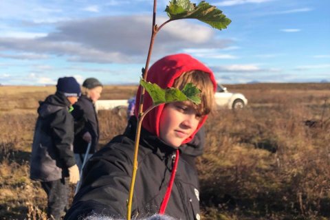 Gróðursetning í Melaskógi haust 2020