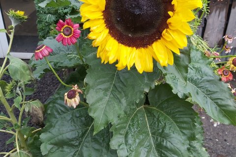 Myndir af frábærum haustferðum