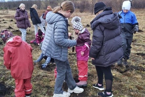 Gróðursetning 21. okt. 2021