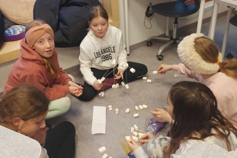 Turnbygging í nýsköpun