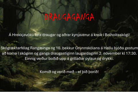 Draugaganga í Bolholtsskógi