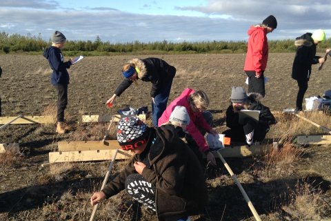 Vistheimt með skólum